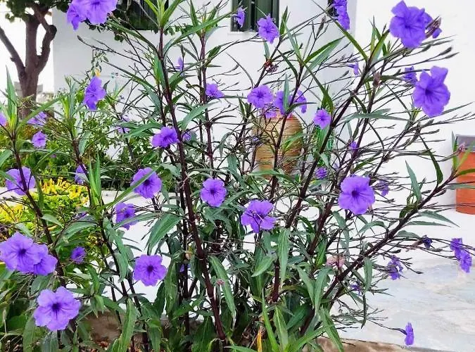 Lejlighed Ancient Meropia - Eden Apollonía