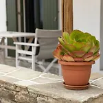 Ancient Meropia - Eden Apartment Apollonia