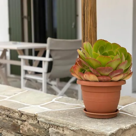 Ancient Meropia - Eden Apartament Apollonia
