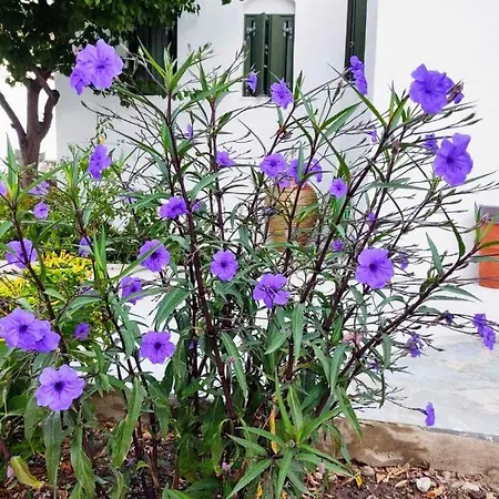 Appartement Ancient Meropia - Eden Apollonia