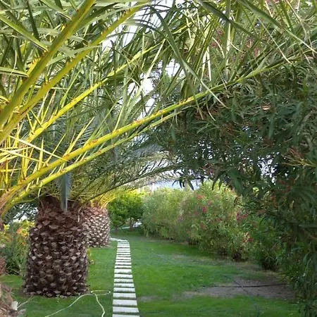 Ancient Meropia - Eden Απολλωνία