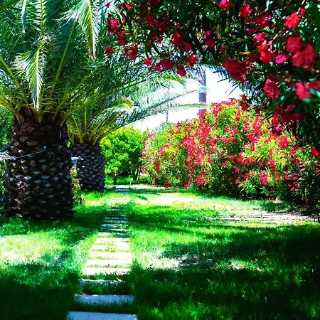 Ancient Meropia - Eden Apartament Apollonia