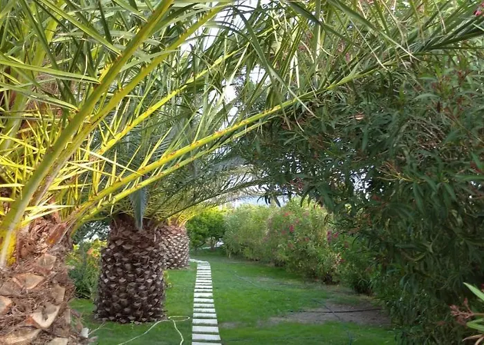 Ancient Meropia - Eden אפולוניה